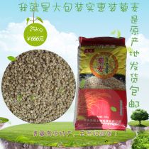 Green spike saponin 25kg bags of white quinoa rice Qinghai non-Peruvian white quinoa wholesale affordable grains