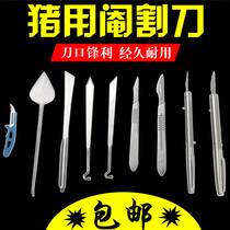 Veterinary castration knife pig knife willow leaf oblique mouth peach-shaped pig knife castration knife sow mini pig knife knock pig knife