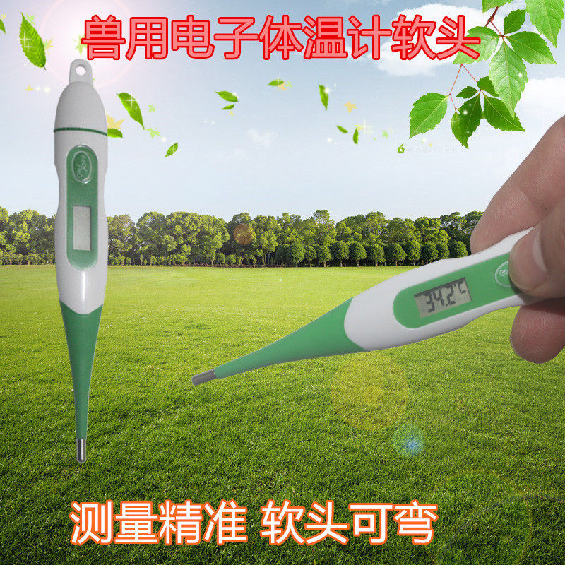 High precision beast with electronic thermometer Thermometer Pig with thermometer Thermometer Cat dog Pets Pet Cattle Ram thermometers