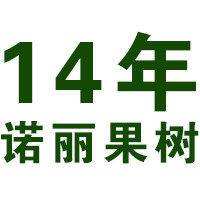 14年诺丽果树的LOGO