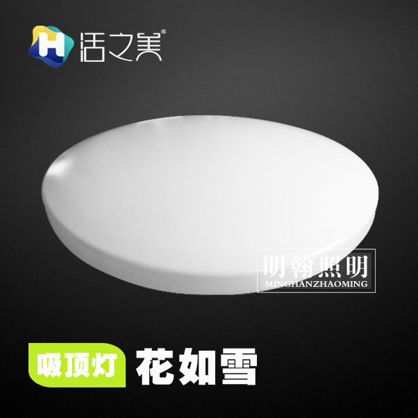 Living Beauty ┃ LED Ceiling Light Fashion Series Flowers Like Snow 12w 18w 24w 36w