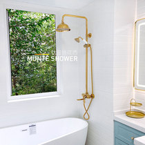 The little fairys favorite Nordic hot and cold shower faucet set Bathroom toilet shower top spray Titanium gold