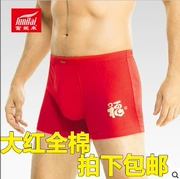 2 chiếc quần lót nam màu đỏ đích thực của Fu Nilai trong năm nay
