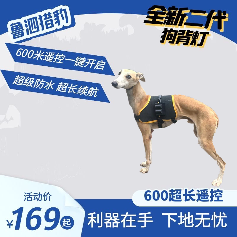 Lusi Cheetah's new second-generation upgraded version long-distance remote control tracking dog lamp rechargeable four-lamp bead dog back lamp