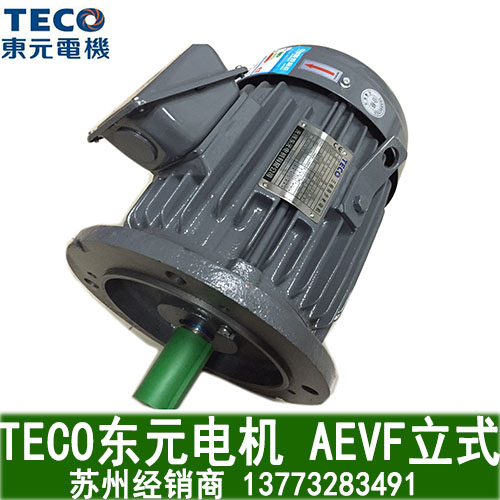 3 7KW guarantee Dongyuan motor AEVF vertical three-phase motor 2 Level 4 6 warranty for one year
