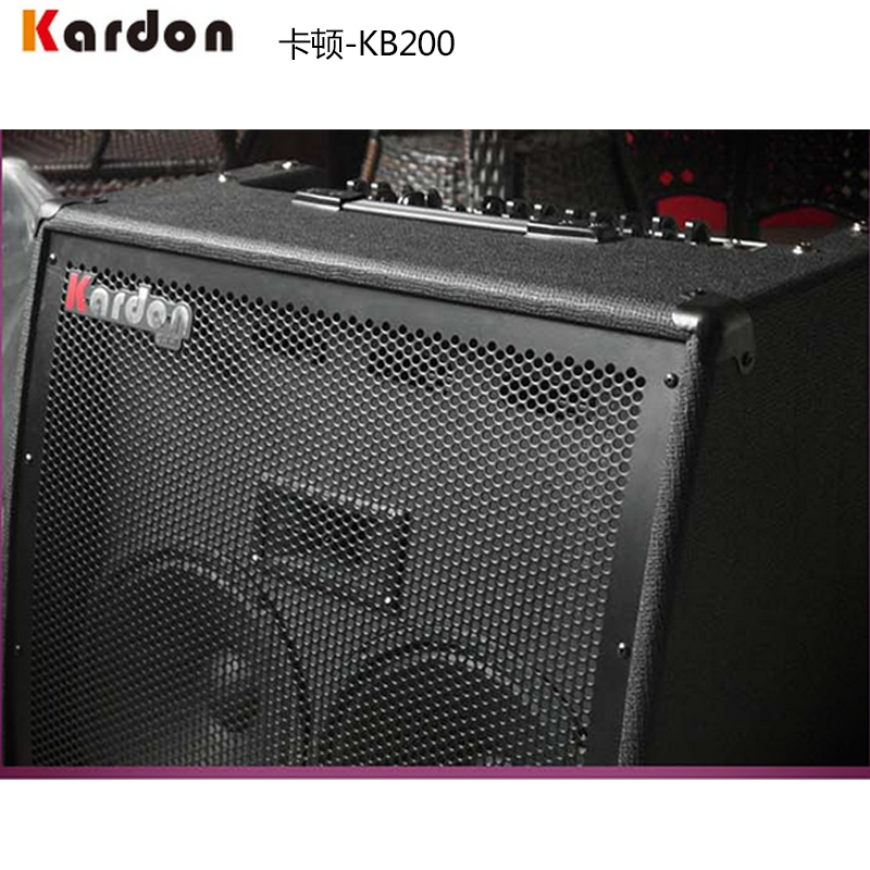 KARDON Carton KB200 100W keyboard frame sub-drum speaker bass multifunction band rehearsal performance sound