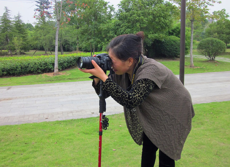 Máy ảnh DSLR cầm tay monepad kỹ thuật số đơn micro đứng trekking ngoài trời mía đi bộ cực gậy chống inox	