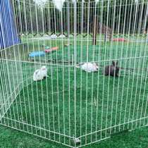 (Rabbit Forest)Marcelle ferret small animal game fence (physical store sales reputation is guaranteed)