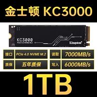 Kingston KC3000-1T