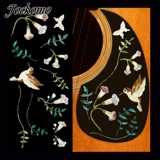 Япония Jockomo Земля Хамимимимимимимимимивая птица Электрическая древесина мандарин