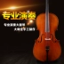 Âm nhạc chính hãng 5A lớp hổ cao cấp cello Tất cả thủ công chơi nhạc cụ cello nhạc cụ - Nhạc cụ phương Tây dan ghita Nhạc cụ phương Tây