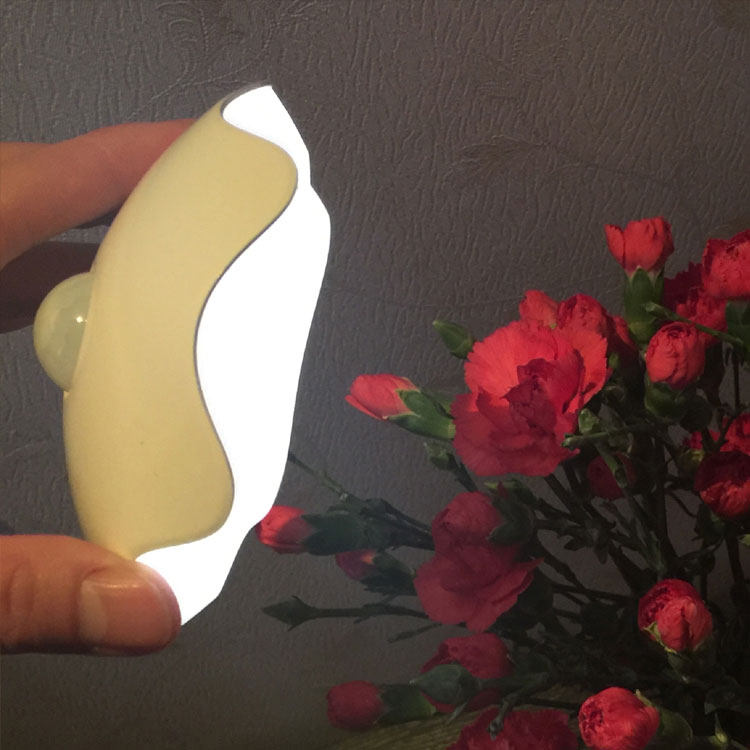 �ǳ�����ң�ظ�Ӧ���ؽ���Сҹ��t-008