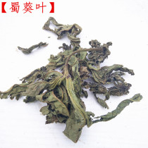 Shu Sunflower Leaf Chinese Herbal Medicine Yellow Shu Sunflower Leaf Raw Material Autumn Sunflower Leaves Pure Yellow Autumn Sunflower Leaf Farmhouse Raw Sun Fresh Dry Goods