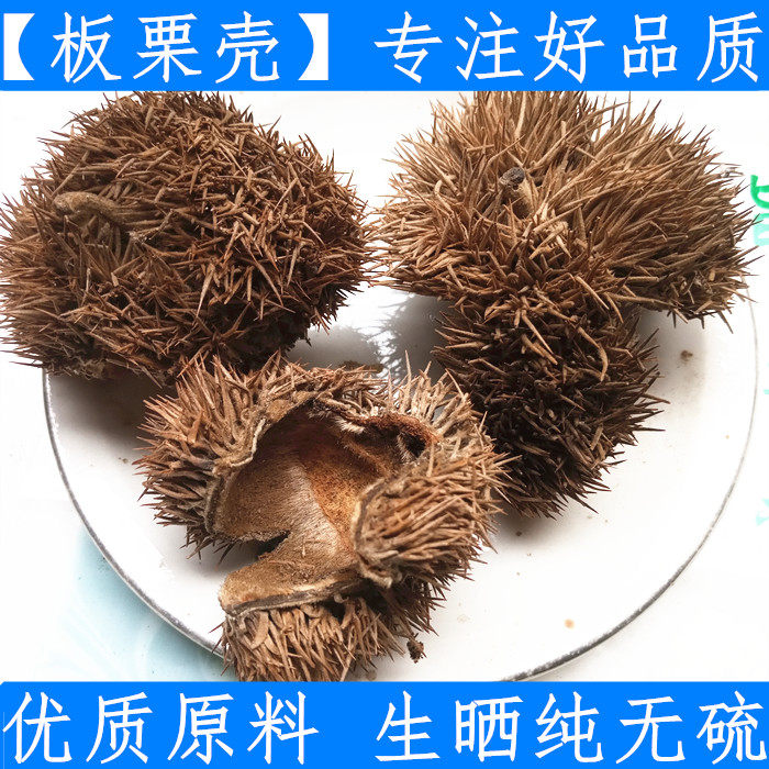Wind Chestnut Shell Chinese Herbal Medicine 500g Wind Corn Shell Chestnut shell Chestnut Shell Plate Chestnut Shell Plate Chestnut Shell