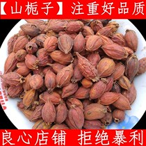 Yellow gardenia Chinese herbal medicine Gardenia Gardenia yellow Gardenia Mountain Gardenia white toad colour 500 gr New goods Non-water Gardenia act as