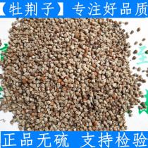 Raw Material Vijingzi Chinese Herbal Medicine Yellow Jingzi Bujingzi Bujingzi Gold 500 gr raw material without sulphur