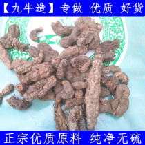 Nine Bull made Chinese herbal medicine Nine Bull Root Five Clouds Nine Cattle Seven Zhen Thunder 100g grams of fresh dry goods