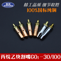 National standard propane acetylene cutting nozzle G01-30 -100 ring plum blossom liquefied gas oxygen cutting torch cutting gun