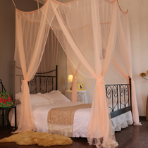 Golden Wins beautiful Princess mosquito net three open door encryption large double family court landing free of mosquito net