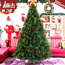 Linger 300CM 3m small pine fruit red fruit mixed pine needle tree Christmas decorations large Christmas tree set meal