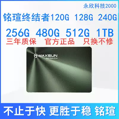 MAXSUN Nameplate Terminator 256gBX6 Desktop Computer Notebook Solid State Drive SSD 256G Hard Drive
