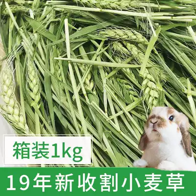   2020 Drying wheatgrass Rabbit Chinchilla forage wheat seedlings hay gross weight 1000 grams