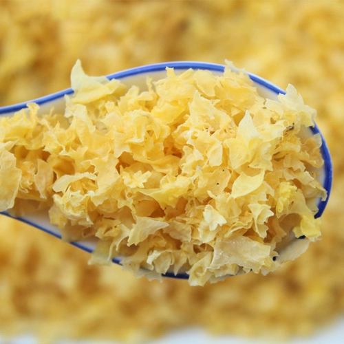 金唐 Tremella 2 20g Gutian White Grin