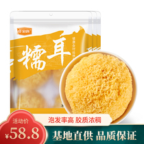 Golden Tang Gutian Glutinous ear 250g*3 packs white fungus Snow fungus Fresh silver fungus Lotus seed soup Material dry ugly ear