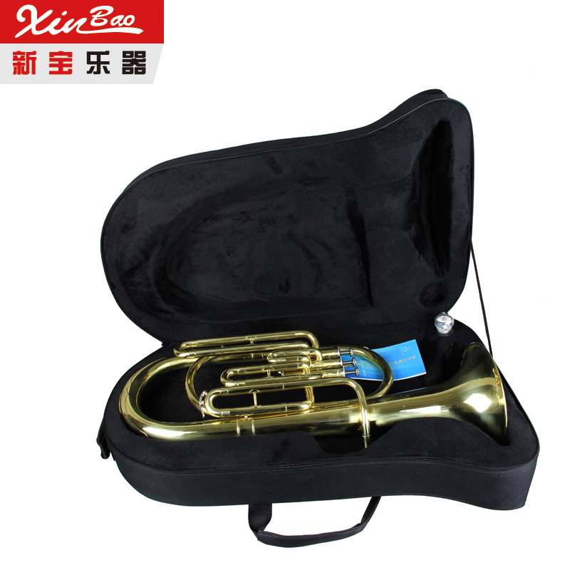 Dụng cụ kho báu mới Jia Jiayun Fulai Euphonium đồng thau ống số phương Tây số lớn dọc trên bass - Nhạc cụ phương Tây đàn phong cầm