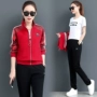 Trang phục thể thao đôi sao Jinleao 2018 Lu Mei An Qi Qi Thể thao thời trang giản dị dành cho nữ - Thể thao sau bộ quần áo thể thao adidas