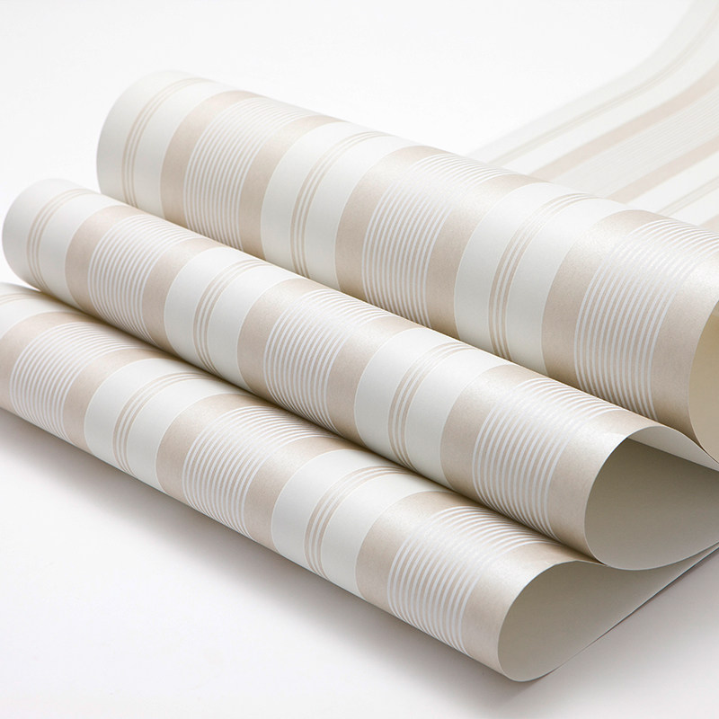 ��ֽ����Լ�ִ�3d��ֽA400301