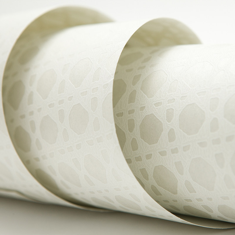 ��ֽ���ִ���Լ��ֽA401001