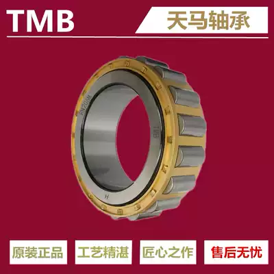 Reducer bearing Eccentric bearing RN307M RN309M RN312M RN328M Short cylindrical roller bearing