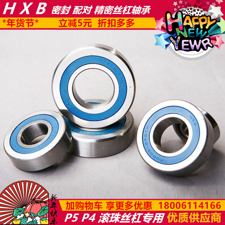 HXB Huaxing Rod Pairing Bearings 760202760203760204760205760206 P5 DBB