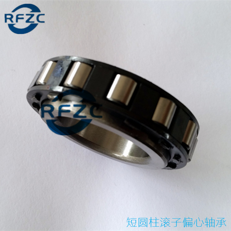 Reducer bearing eccentric bearing RN307 RN309 RN312 RN312 short ...