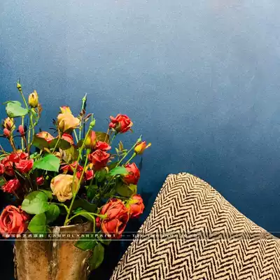 Carberry Art Paint Clestra