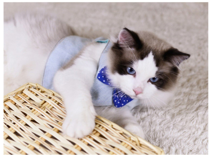 Mèo ngực ra dây xích thú cưng bằng vải cotton thoáng khí Dây thừng mèo dây với dây chống mèo - Cat / Dog hàng ngày Neccessities bình nước tự động cho chó