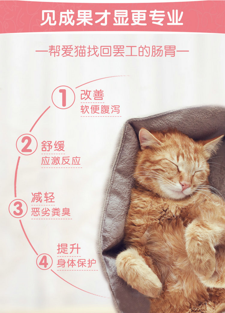 Thuốc men mèo Med50 PA5051 10 túi thú cưng mềm điều hòa nôn mửa - Cat / Dog Health bổ sung sữa cho chó con mới đẻ