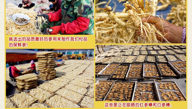 Гинсенд Деталь page_10.jpg