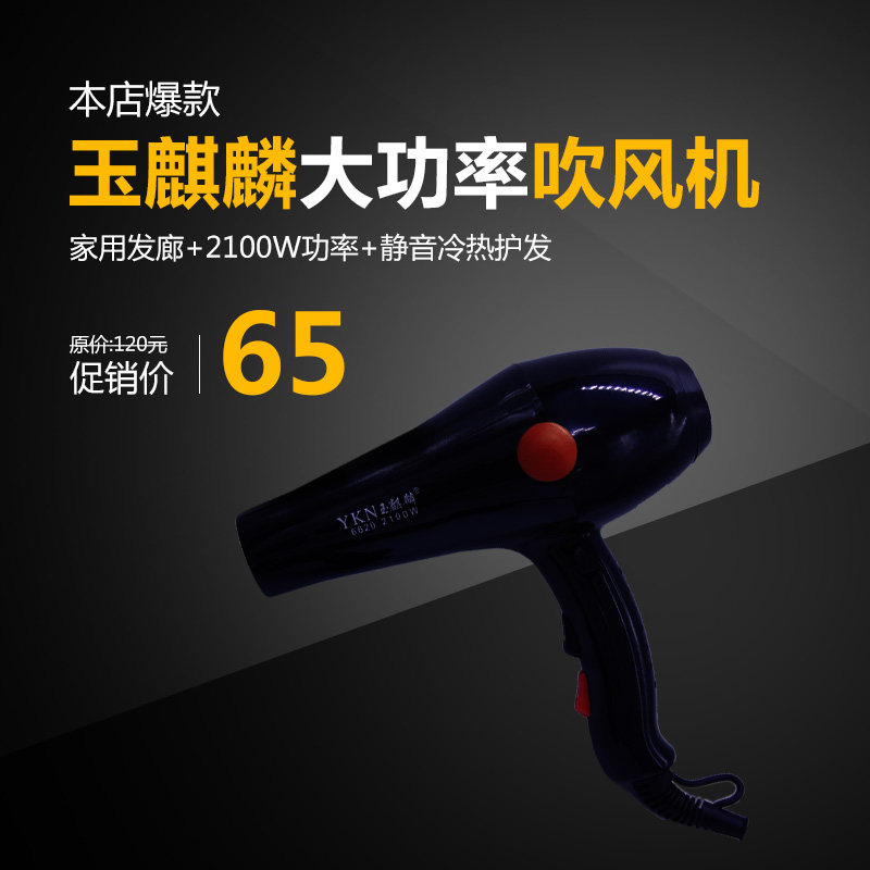 Jade Kirin Children Hair Dryer Muted No Radiation Pet Household Negative Ion Hair Care Not Hurt Hairdressshop Special