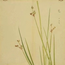 Skin care lotion · Refined by Chicao Reading Club