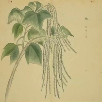 Eczema Cream · Refined by Chicao Reading Club