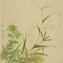 Disposable mask · Refined by Chicao Reading Club