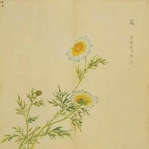 Skin Cleanser · Refined by Chicao Reading Club