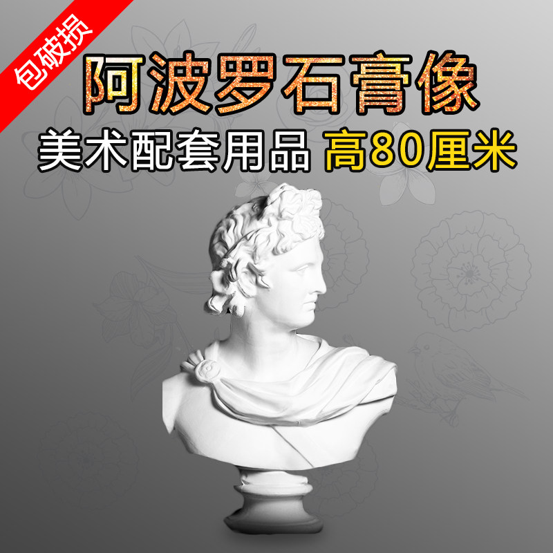 Tianhao plaster statue Apollo plaster bust height 80CM sketch plaster practice special art with supporting supplies