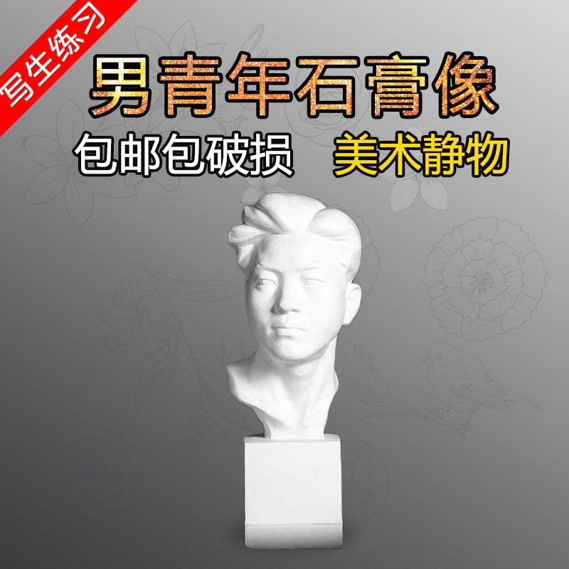 Young male plaster head 62CM sketch plaster head sketch practice special art supplies plaster statue ornaments