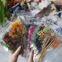 Rose ocean dried flower green plant oversized PET sticker Handbook Diary diy decorative material waterproof sticker
