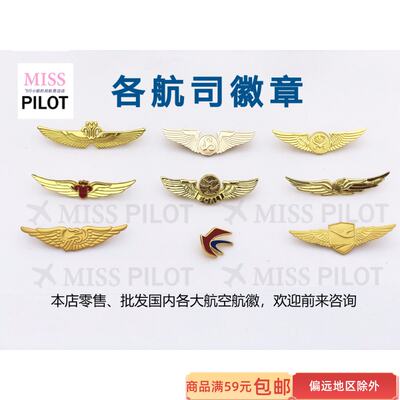 Air China, China Southern Airlines, Hainan Airlines, Spring Airlines, Xiamen Airlines, Eva Air pilots, crew members, aviation badges, badges, commemorative badges