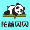 花蕾贝贝童车