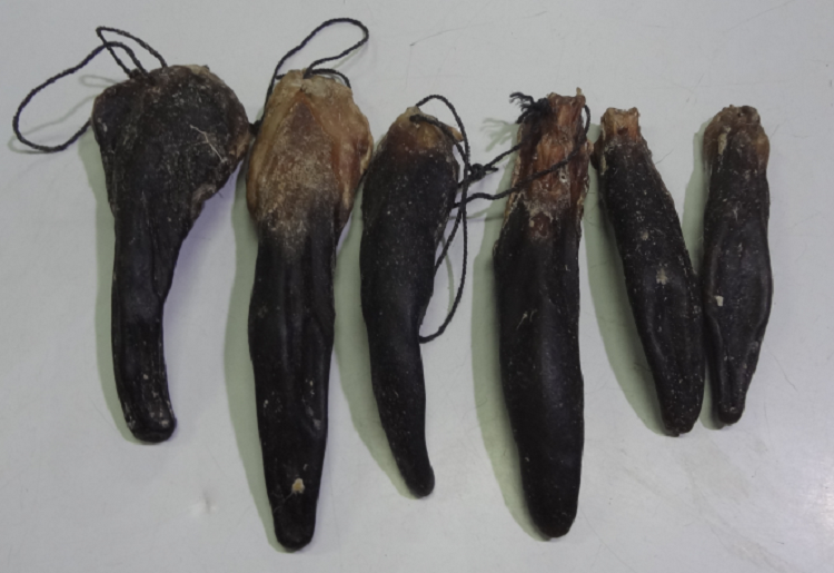 Jilin Mayflower Deer Tail Health Products Dried Deer Tail Nourishing Pint Price 